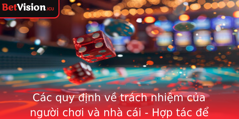 Các quy định về trách nhiệm của người chơi và nhà cái - Hợp tác để duy trì môi trường lành mạnh
