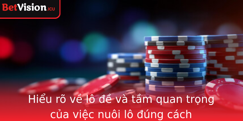 Hiểu rõ về lô đề và tầm quan trọng của việc nuôi lô đúng cách Hiểu rõ về lô đề và tầm quan trọng của việc nuôi lô đúng cách