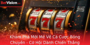 Kham Pha Moi Me Ve Ca Cuoc Bong Chuyen Co Hoi Danh Chien Thang Voi Betvision