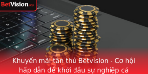 Khuyen Mai Tan Thu Betvision Co Hoi Hap Dan E Khoi Au Su Nghiep Ca Cuoc Cua Ban