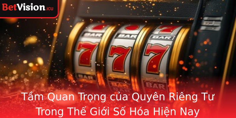 Tầm Quan Trọng của Quyên Riêng Tư Trong Thế Giới Số Hóa Hiện Nay